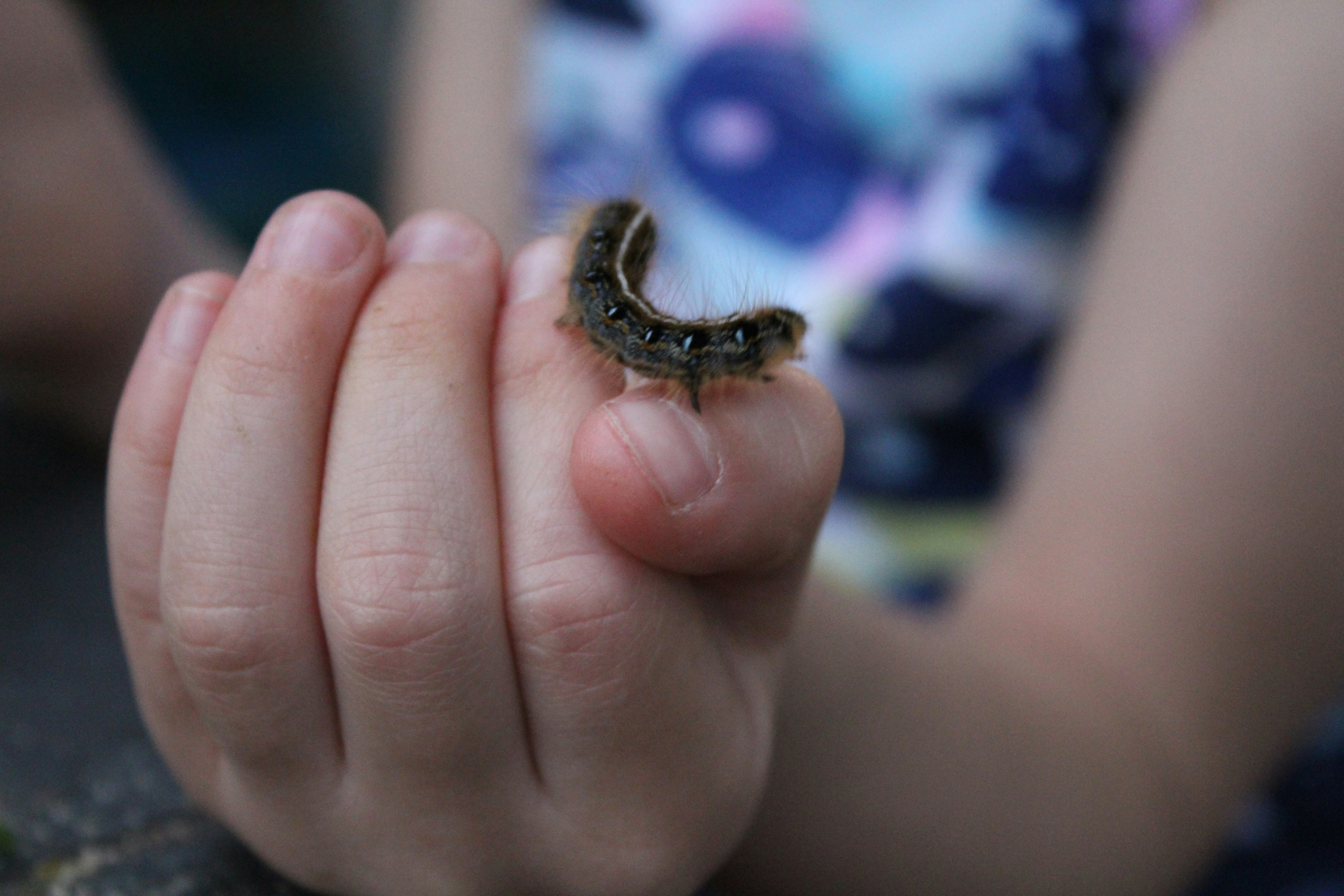 Op zoek naar inspiratie voor de Nationale Buitenlesdag?
