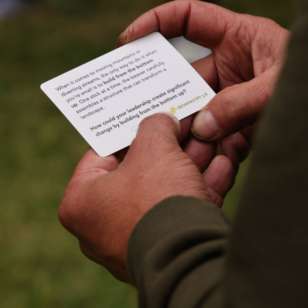 Leading with Purpose — hoe we samen met de natuur een leiderschapservaring creëerden