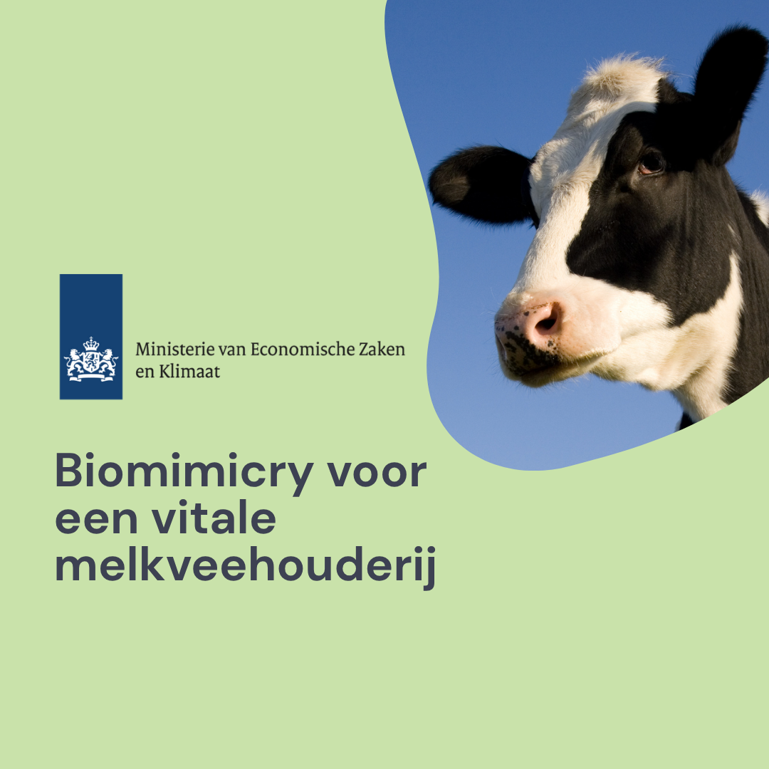 Toekomstbestendige melkveehouderij