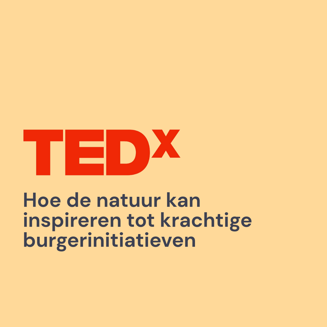 TEDxDamlaan