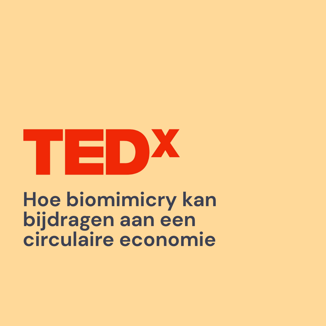 TEDxAUCollege