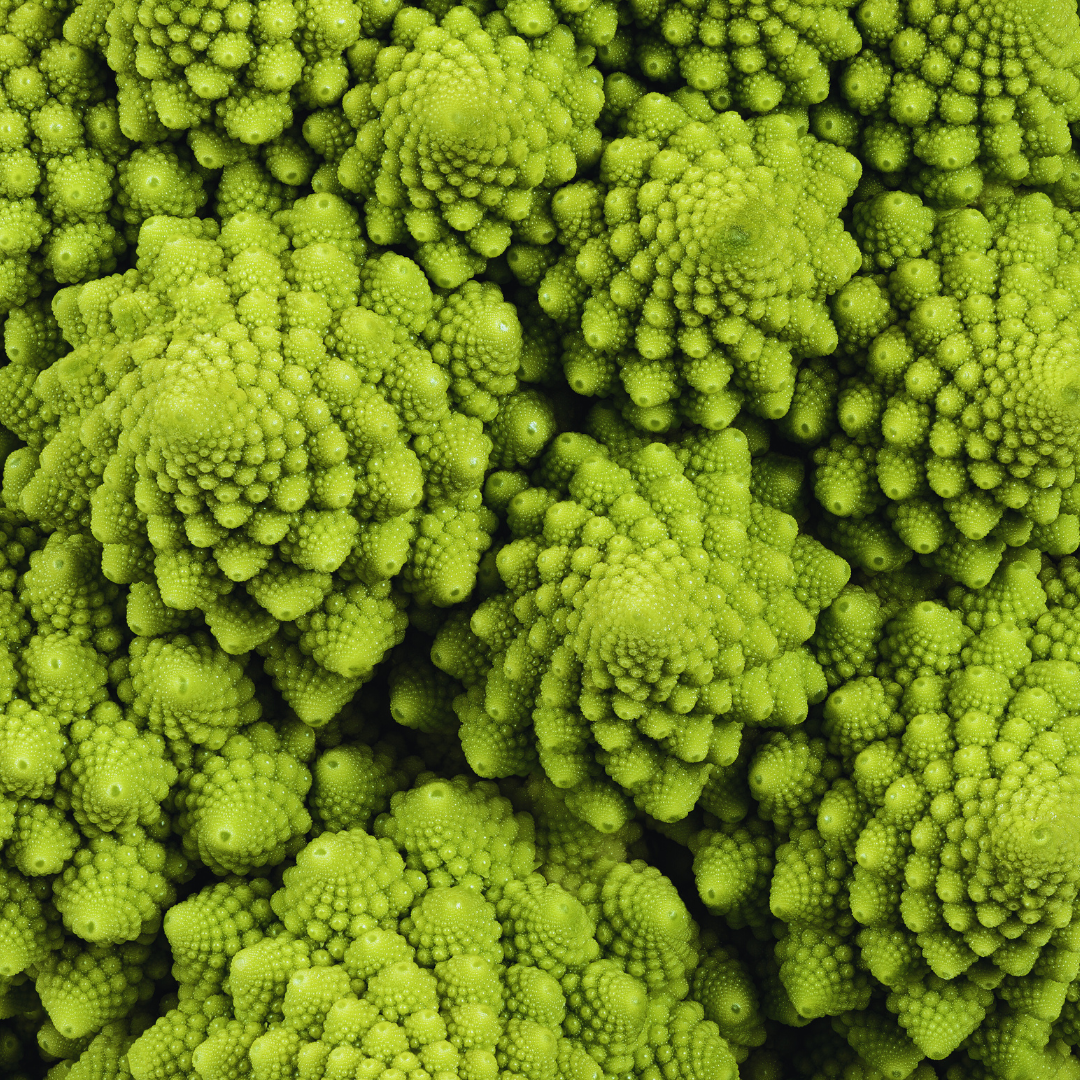 Fractastisch: wiskunde in de bomen, onze longen en onze telefoons