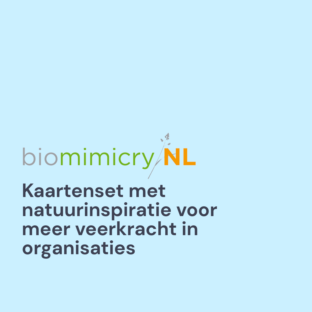 Natuurlijk Veranderen Kaartenset